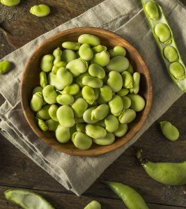 Legume Face-Off: Lima Beans vs Fava Beans