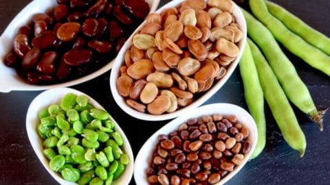 Legume Face-Off: Lima Beans vs Fava Beans