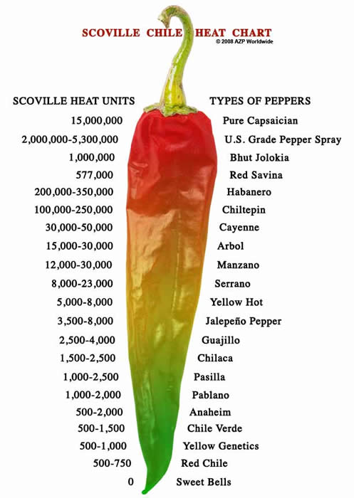 Pepper Perplexity: Chiles vs Peppers: Unraveling the Spicy Conundrum