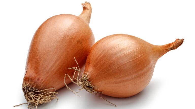 Flavorful Alliums: Garlic vs Shallots