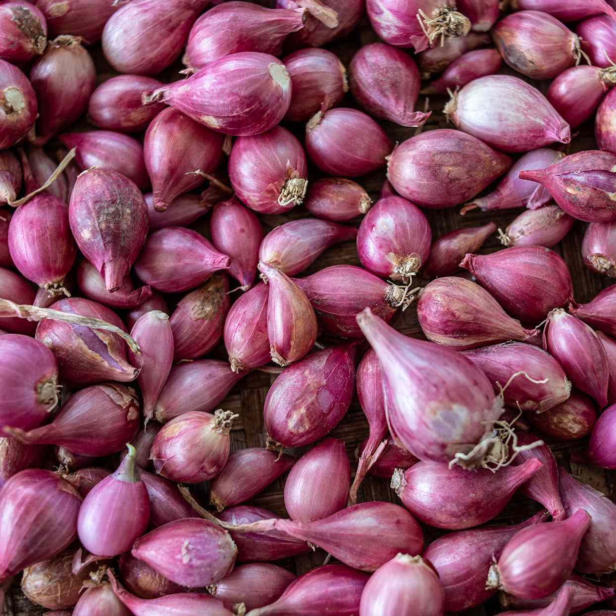 The Wonderful World of Garlic vs Shallots: Flavor, Health, and Recipe Inspiration