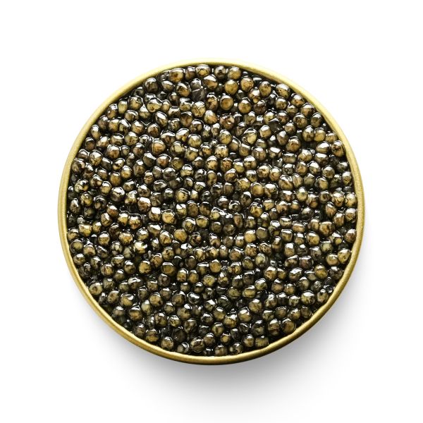 Luxurious Delights: White Sturgeon Caviar - I White Sturgeon Caviar: a luxurious delicacy