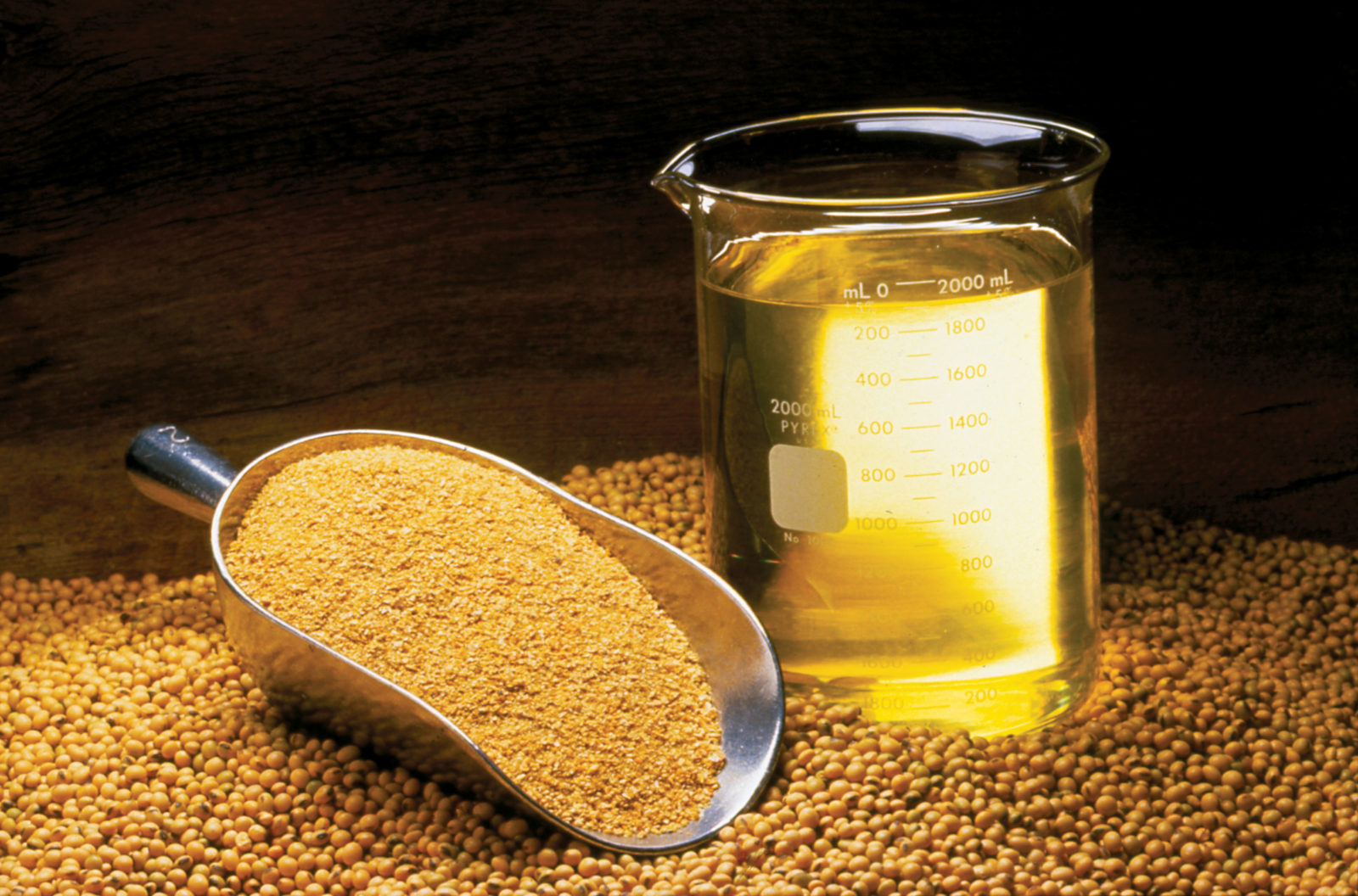 Oil Showdown: Soybean vs Canola Oil - 1. Sustainability of Soybean Oil Production