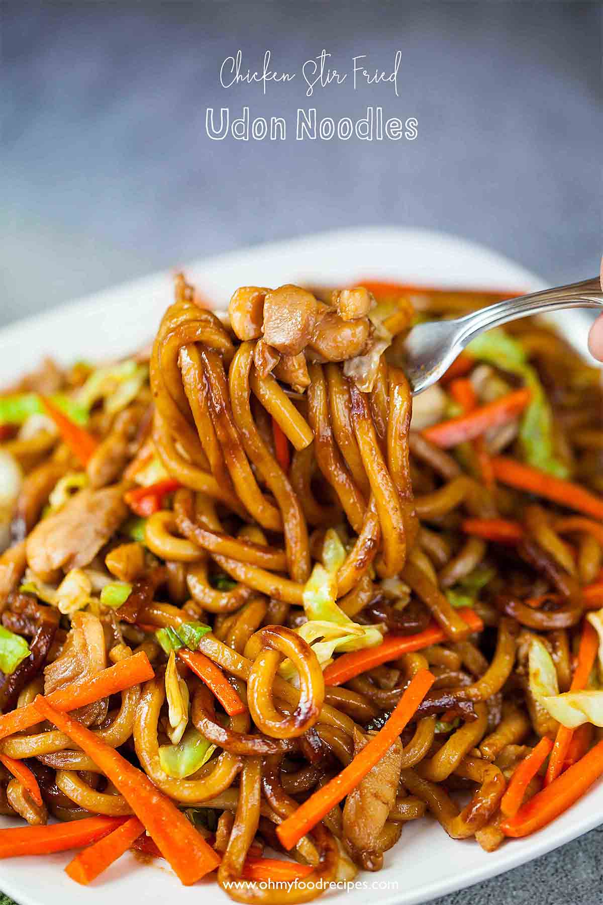 Asian Inspiration: Chicken Udon Stir Fry - Garnishing and presentation ideas for Chicken Udon Stir Fry