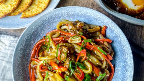 Asian Inspiration: Chicken Udon Stir Fry - Conclusion