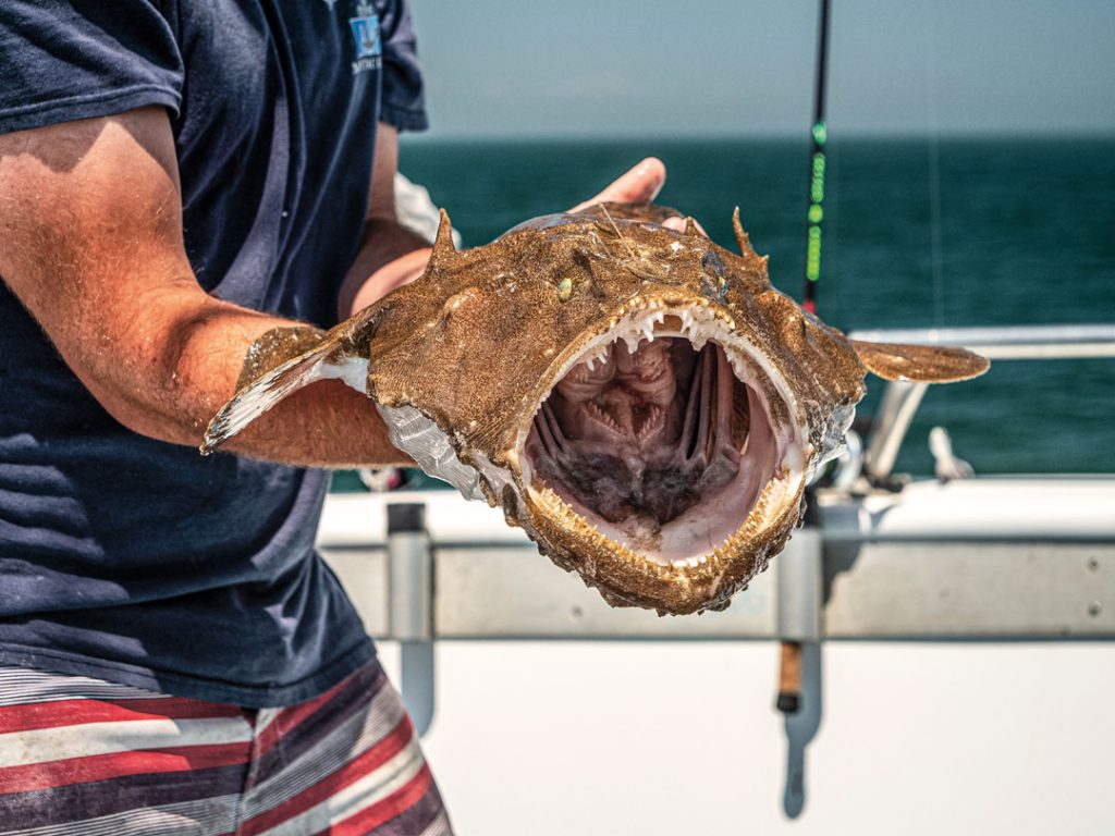 Exploring the Depths: What Does Monkfish Taste Like? - Tips for purchasing and storing Monkfish