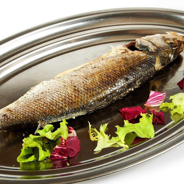 Exploring the Depths: What is Sea Bass? - Health benefits of consuming Sea Bass