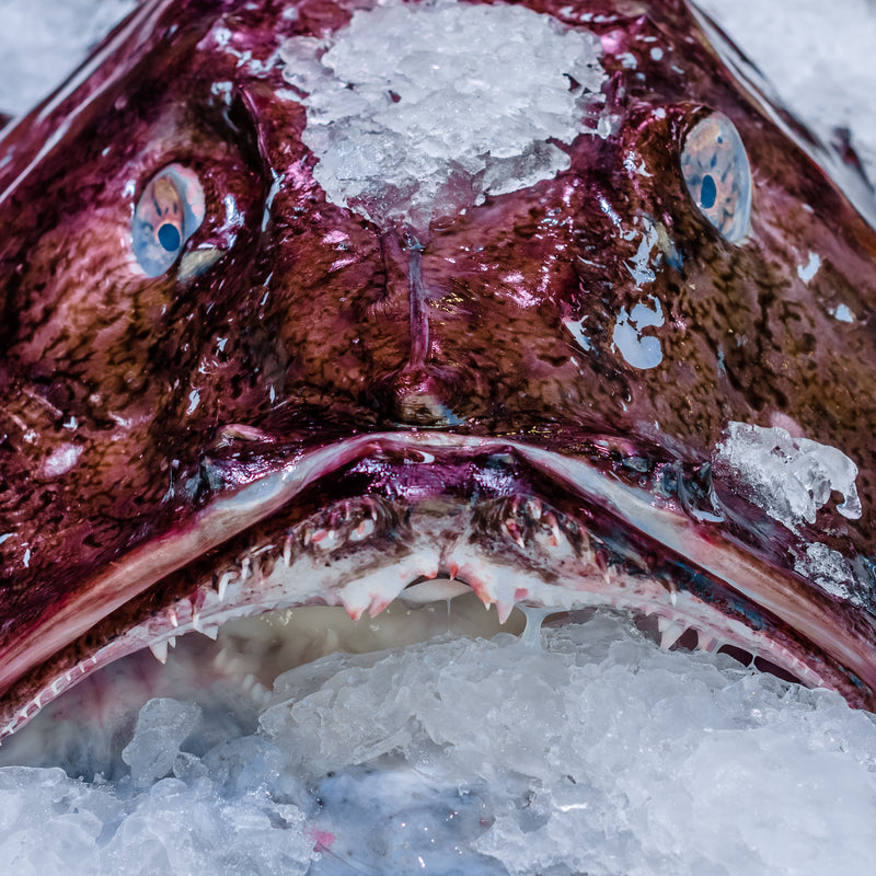 Exploring the Depths: What Does Monkfish Taste Like? - Exploring Monkfish: FAQs and final thoughts