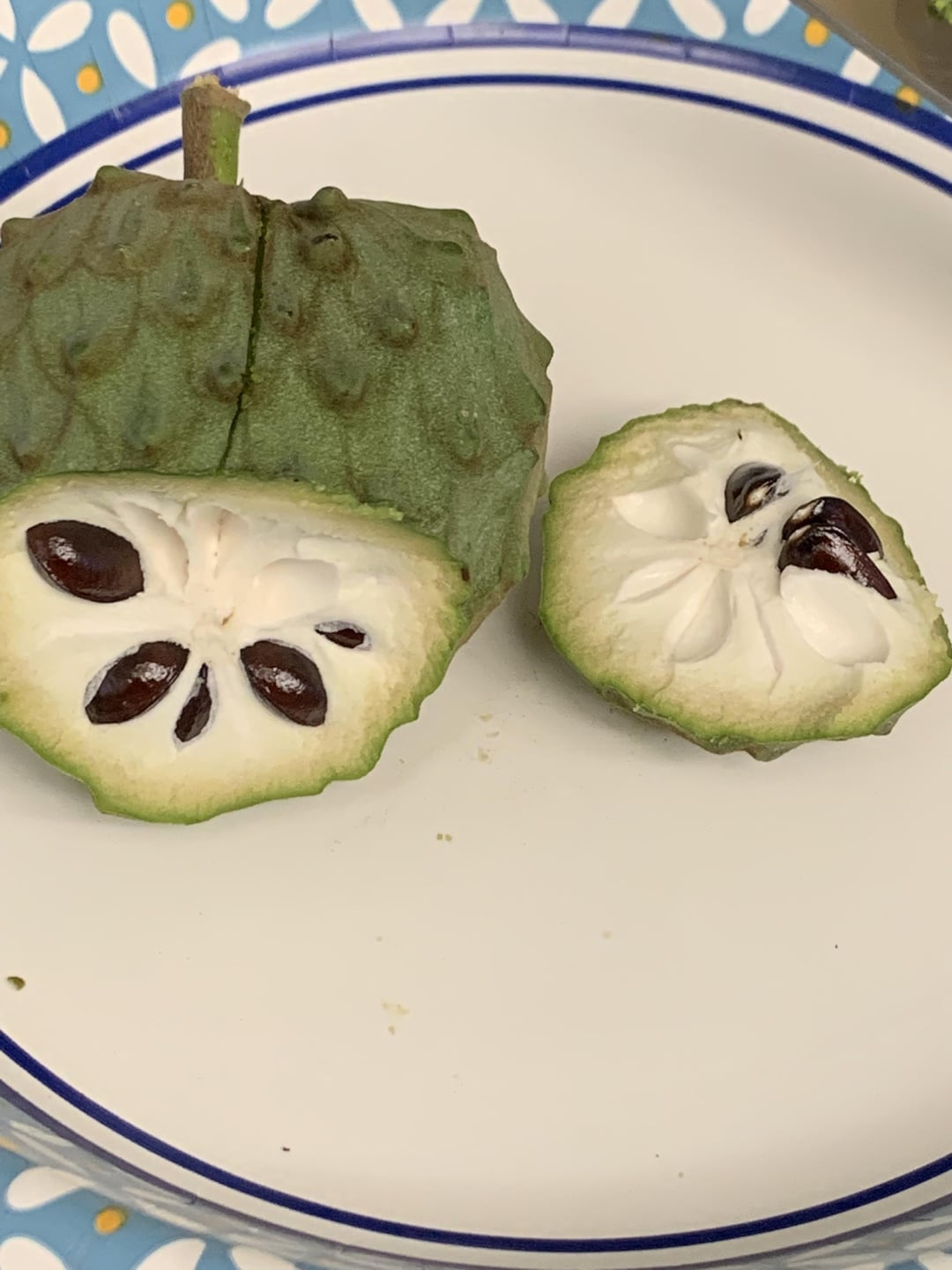 Tropical Fruit Face-Off: Soursop vs Custard Apple - Final thoughts on Soursop vs Custard Apple