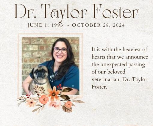 Taylor Foster Poulsbo WA Death & Obituary: Associate Veterinarian at Poulsbo Marina Veterinary Clinic Passed Away Suddenly