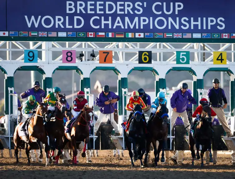 Breeders Cup Horse Death & Obituary: Horse dies during second day of Breeders’ Cup at Del Mar, CA